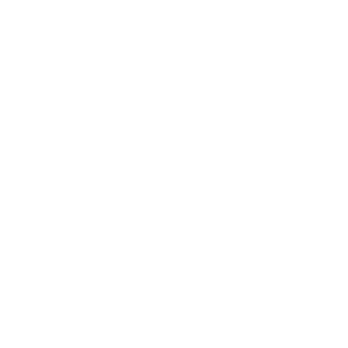 IT Solution