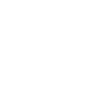 IT Services